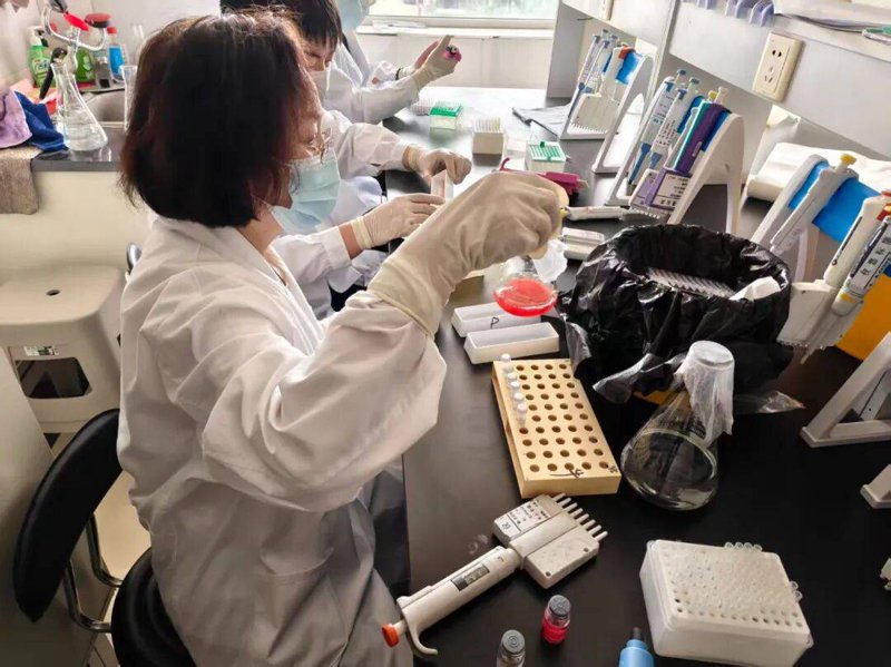 第三方检测：企业如何选择最适合的合作伙伴？